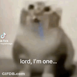 Blurred Cat Saying Lord I'm One GIF