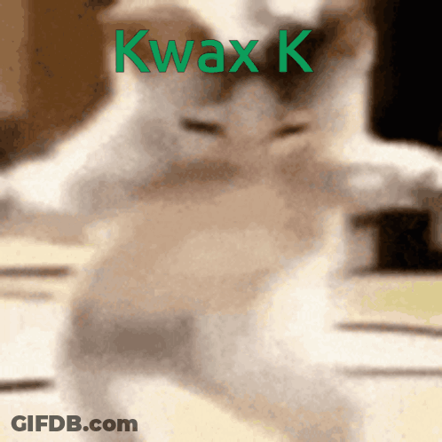 Blurred Cat With Kwax K GIF