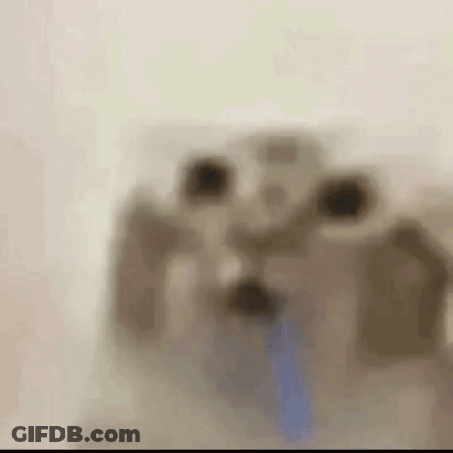 Blurred Cat With Tongue Out GIF