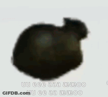 Blurred Cat With Uu Eee Aaa Aeeoo GIF