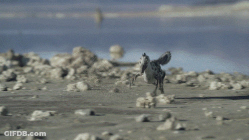 Blurred Crocodile Walking In Water GIF