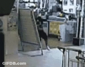 Blurred Dog Jumping Over Fence In Room GIF