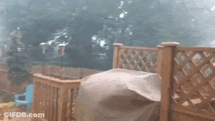 Blurred Face With Blue Sky Background GIF