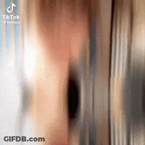 Blurred Face With TikTok Logo GIF