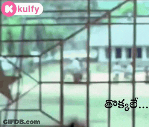 Blurred Fence With Kulfy GIF