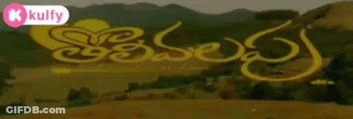 Blurred Field With Kulfy GIF