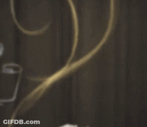 Blurred Flower Dark Background GIF