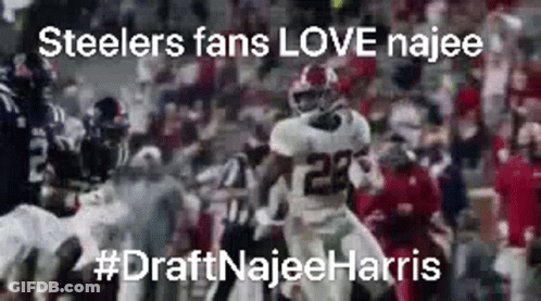 Blurred Football Game Steelers Fans Love Najee GIF