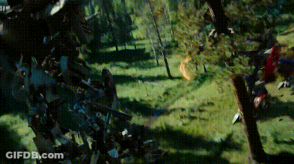 Blurred Forest With Trees GIF