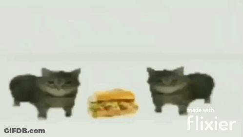 Blurred Image Made With Flixier GIF