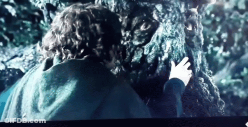 Blurred Image Saying Exams GIF