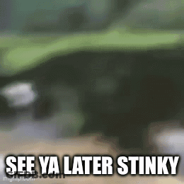 Blurred Image See Ya Later Stinky GIF