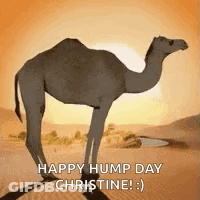 Blurred Legs With Red Curtain GIF