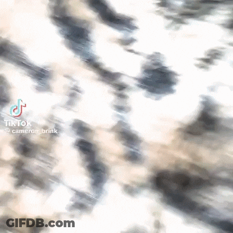 Blurred Leopard Print With TikTok Logo GIF