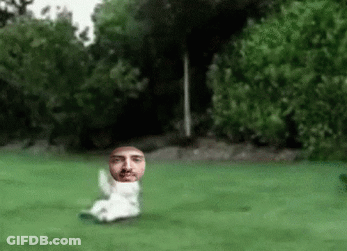 Blurred Man Laying On Grass GIF