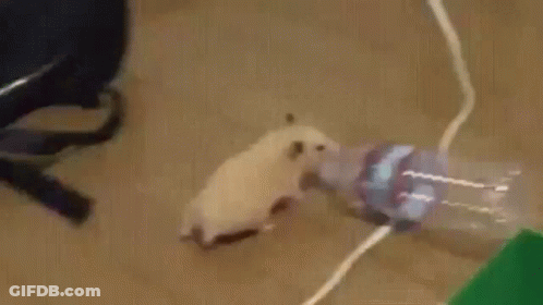 Blurred Person Face And Water Bottle GIF