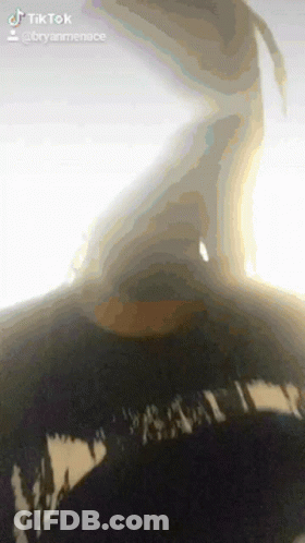 Blurred Person Face With TikTok Watermark GIF