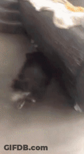 Blurred Person Feet GIF