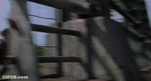 Blurred Person Holding Sword In Dark Forest GIF