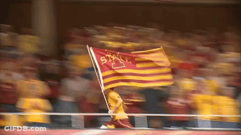 Blurred Person Holding UC San Diego Flag GIF