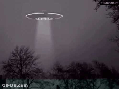 Blurred Person In Car Get In Now GIF