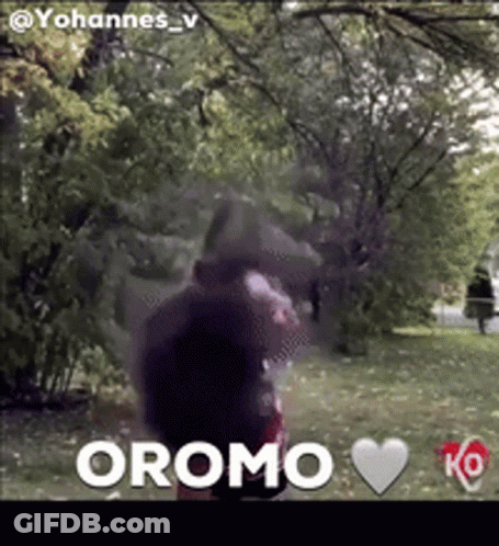 Blurred Person In Park Oromo GIF