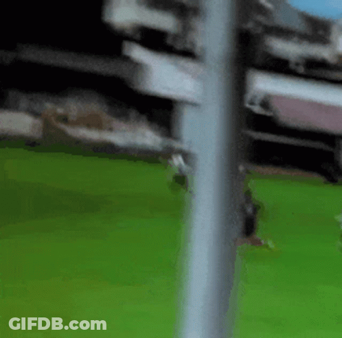 Blurred Person On Soccer Field With Pole GIF