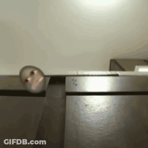 Blurred Person Peeking From Behind Door GIF