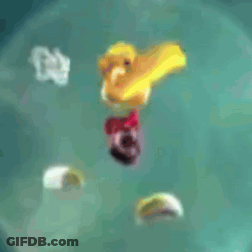 Blurred Person Riding Skateboard On Green Surface GIF