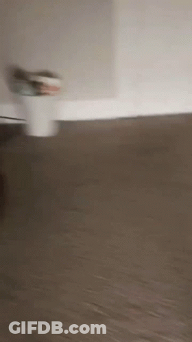 Blurred Person Standing On Carpeted Floor GIF