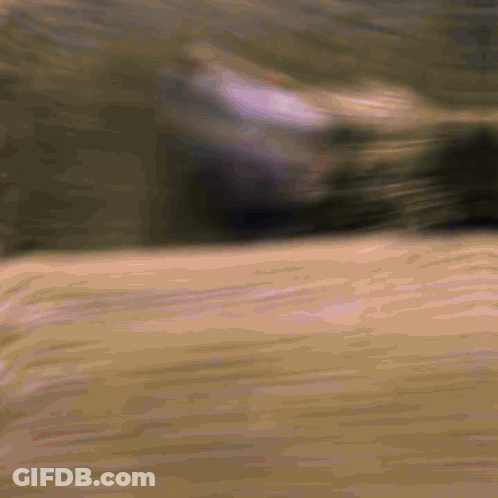 Blurred Person Walking On Beach GIF