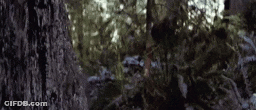Blurred Person Walking Through Forest GIF