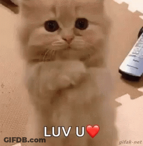 Blurred Person With In Addition It Is Also Pa Friday GIF