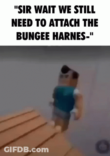 Blurred Person With Text Sir Wait We Still Need To Attach The Bungee Harness GIF