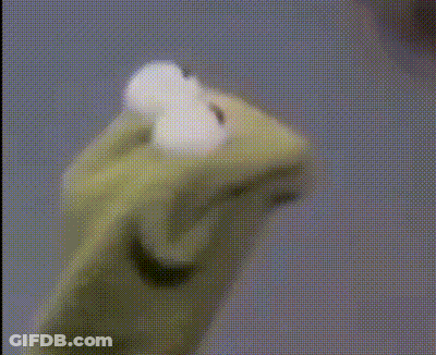 Blurred Plant With Blue Sky GIF