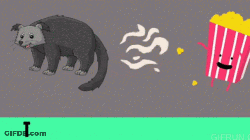 Blurred Raccoon Standing On Tiled Floor GIF