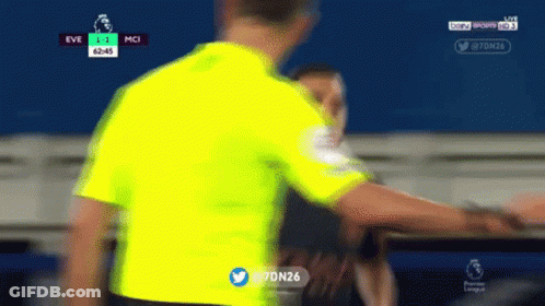 Blurred Referee During Soccer Game GIF