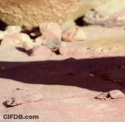 Blurred Rocky Area With Stones GIF