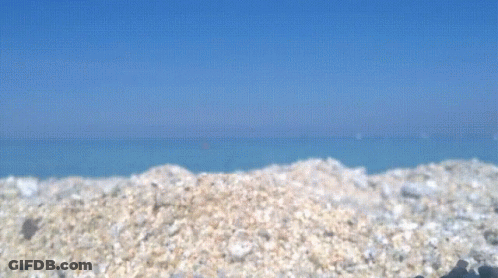 Blurred Rocky Beach With Ocean GIF