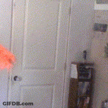 Blurred Room With Door And Window GIF