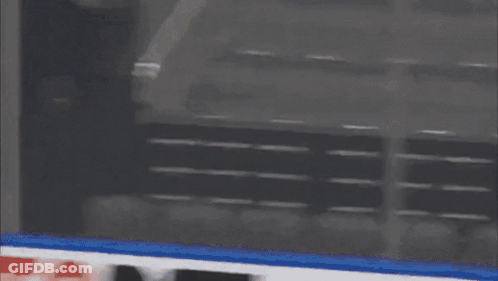 Blurred Sign Saying Dachshund GIF