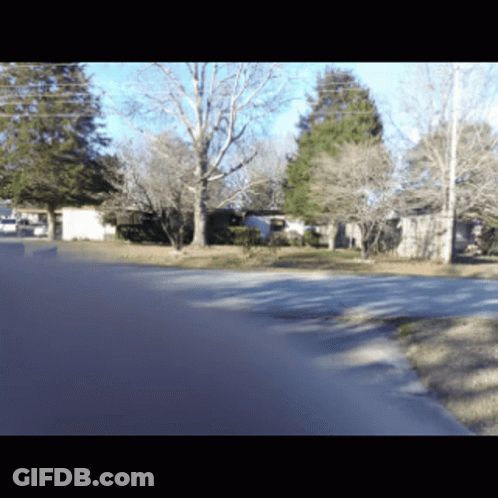 Blurred Street With Trees And House GIF