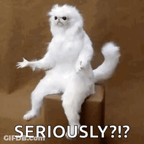 Blurred Stuffed Animal With Big Eyes GIF