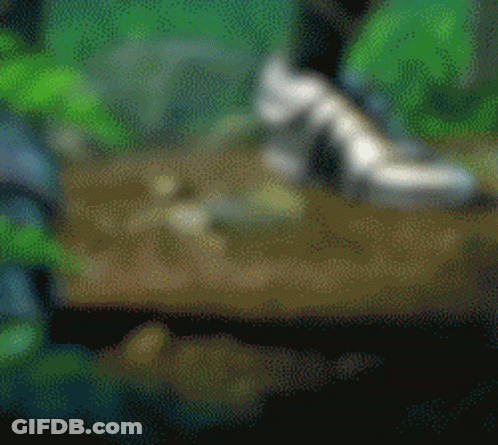 Blurred Sword In Jungle GIF