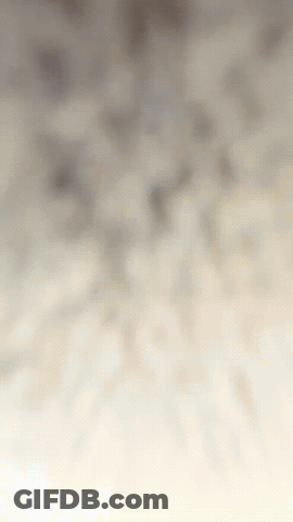 Blurred White Background With Gray Gradient GIF