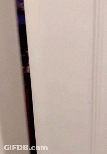 Blurred White Wall With Objects GIF