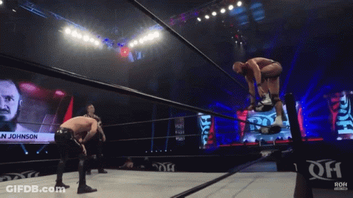 Blurred Wrestling Match With Letters ROH GIF