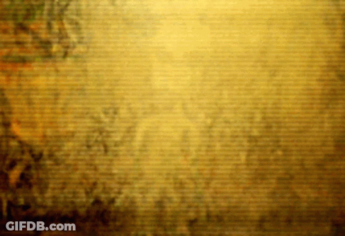 Blurred Yellow Background With Lines GIF