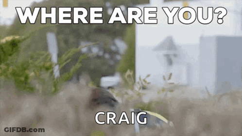 Blurry Bird Where Are You Craig GIF