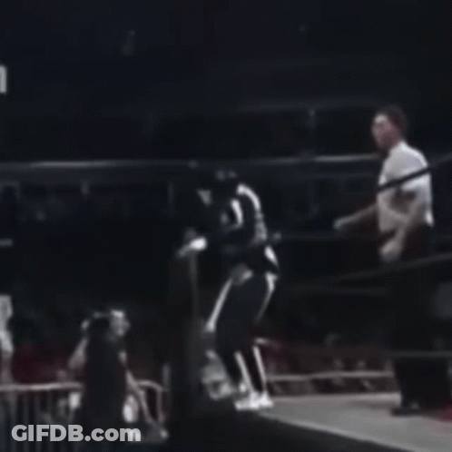 Blurry Boxing Ring With Person In White Shirt Letter L GIF